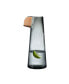 Фото #1 товара Кувшин для воды Nude Glass паррот, 25.25 унции