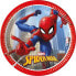 Фото #1 товара PROCOS Talerzyki papierowe 20cm 8 szt Spiderman