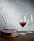 Фото #1 товара Balance Decanter with Terroir Wine Glasses, Set of 3