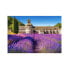 Фото #1 товара Puzzle Lavendelfeld in der Provence