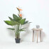 Фото #3 товара Искусственные цветы Homescapes Königsstrelitzieующие Strelitzia Reginae.