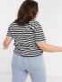 ASOS DESIGN Curve ultimate t-shirt in black and white stripe