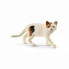 Фото #2 товара Schleich Farm Life American Shorthair Cat - 3 yr(s) - Boy/Girl - Multicolour - Plastic