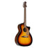 Fender Newporter Player WN Sunburst