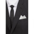 ფოტო #4 პროდუქტის HUGO Pocket Square 33x33 cm Tie