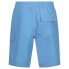 REGATTA Hotham IV Swimming Shorts