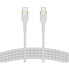 Фото #6 товара BELKIN CAB011BT1MWH 1 m USB-C Cable