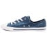 Converse Chuck Taylor All Star Dainty