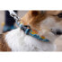 RUFFWEAR Crag™ Collar Rising Wave, 14-20 cm - фото #7