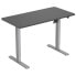 Фото #1 товара EQUIP EQ650811 Gaming Desk 120x60 cm