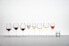 Фото #2 товара Sauvignon Veloce 2er Set + Poliertuch