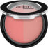 Фото #3 товара Aden Cosmetics Matt & Glow Blush Duo