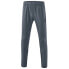 Фото #2 товара ERIMA Performance Tracksuit Pants