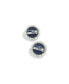 ფოტო #1 პროდუქტის Women's Seattle Seahawks Statement Stud Earrings