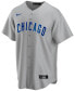 Men's Chicago Cubs Official Blank Replica Jersey