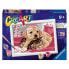 Фото #1 товара RAVENSBURGER CreArt On The Blanket Painting Kit