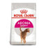 Фото #1 товара ROYAL CANIN Aroma Exigent Fish Adult 400 g Cat Food