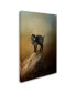 Фото #2 товара Jai Johnson 'Little Rock Climber' Canvas Art - 32" x 22" x 2"