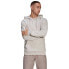 Фото #1 товара ADIDAS ORIGINALS Loopback hoodie