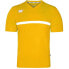 Фото #2 товара Zina Formation M Z01997_20220201112217 football shirt yellow/white