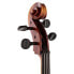 Gewa Maestro 6 Antique Cello 4/4