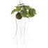 Фото #1 товара Искусственные цветы MICA Decorations Monstera Hanging