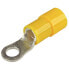 SEACHOICE Nylon Insulated Ring Terminal