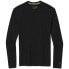 ფოტო #1 პროდუქტის SMARTWOOL Merino 250 Crew long sleeve T-shirt