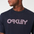 Фото #8 товара OAKLEY APPAREL Embroidery Mark II short sleeve T-shirt