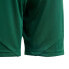 Фото #5 товара Adidas Tiro 24 Jr IT2409 shorts