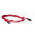 Фото #2 товара HPE IP CAT5 Cable/12ft Qty 8 WW - Cable - KVM
