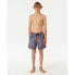 Фото #5 товара RIP CURL Lost Islands Tile Volley Swimming Shorts
