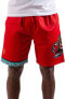 Фото #3 товара Mens Mitchell & Ness NBA SWINGMAN SHORTS - VANCOUVER GRIZZLIES 1998