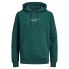 Фото #1 товара JACK & JONES Bluarchie hoodie