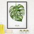 Фото #2 товара Bild Aquarell Botanik Monstera