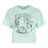 ფოტო #2 პროდუქტის O´NEILL Stream short sleeve T-shirt