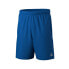 Фото #1 товара ERIMA Team Junior Sweat Shorts