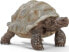 Фото #1 товара Фигурка Schleich Черепаха гигантская Giant Tortoise World of Nature (Мир природы)