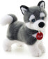 Фото #1 товара Мягкая игрушка для девочек Trudi Husky Marcus, 24 cm (22271)