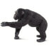 Фото #9 товара Фигурка Safari Ltd Шимпанзе (Chimpanzee Figure) (Фигурки)