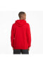 Фото #65 товара Erkek Ceket Kapşonlu Ess Big Logo Hoodie Tr High 58668811