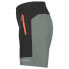 Фото #3 товара ICEPEAK Bastrop Shorts