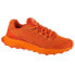 Фото #1 товара Merrell Moab Flight M J067477 running shoes