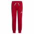 Детские спортивные штаны Nike Jordan Jumpman Багровый красный