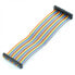 Фото #4 товара Cable IDC 40 pin female-female 40 cm Raspberry Pi 4B/3B+/3B/2B