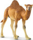 Фото #1 товара Фигурка Schleich Верблюд Дромадер Camel Dromedary (Верблюды)