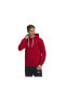 Entrada 22 Sweat Hoodie Erkek Sweatshirts H57514 Kırmızı