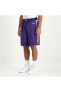 Фото #1 товара Phoenix Suns Icon Edition Nike Dri-FIT Basketbol NBA Swingman Erkek Şortu
