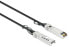 Фото #3 товара Intellinet SFP+ 10G Passives DAC Twinax-Kabel 1.0m HPE-komp. - Cable - Network