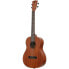 Kala Learn To Play Uke Baritone Kit